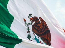 Mi Patria México/Teresita Balderas y Rico